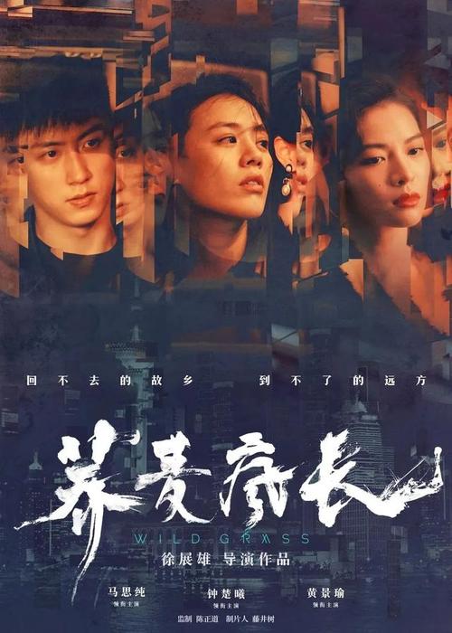 西华大学学位证图片